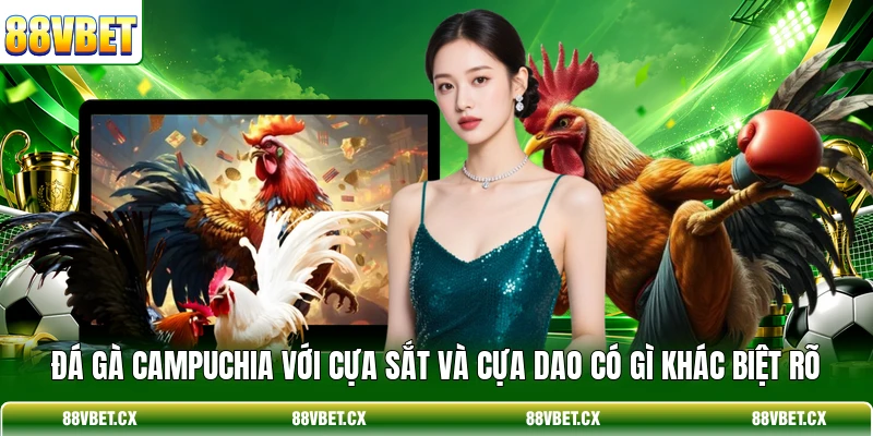 Đá gà Campuchia với cựa sắt và cựa dao có gì khác biệt rõ